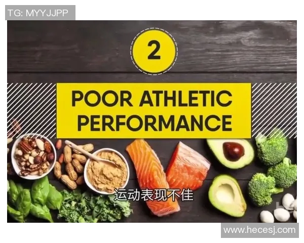 揭秘足球巨星的一天饮食安排如何助力巅峰表现与体能保持